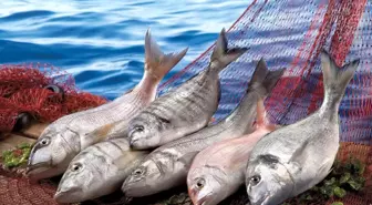 Ege İhracatçı Birlikleri Ekim Ayında İhracatta Rekor Kırdı