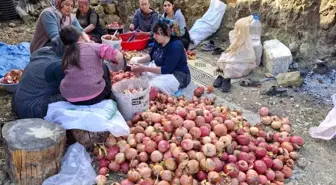 Adana Feke'de Nar Ekşisi Üretimi Başladı