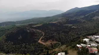 Hatay'da Orman Yangını: 95 Hektar Alan Zarar Gördü