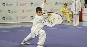 Geleneksel Wushu Türkiye Şampiyonası Sakarya'da Tamamlandı