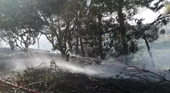 Hatay'ın Samandağ İlçesinde Orman Yangını Söndürüldü