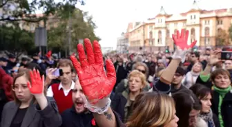 Sırbistan'da Tren İstasyonu Kazası Sonrası Protestolar