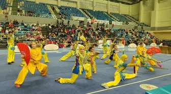 Türkiye Wushu Şampiyonası Sakarya'da Başladı