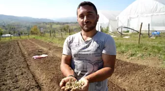 Çocukken annesiyle yaylalarda topluyordu, şimdi üreticisi oldu