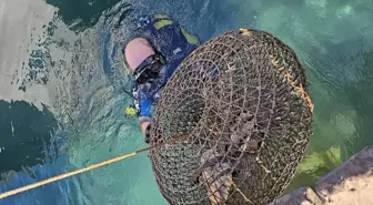 Muğla'da Dalış Timi Yasa Dışı Balıkçılığa Geçit Vermedi