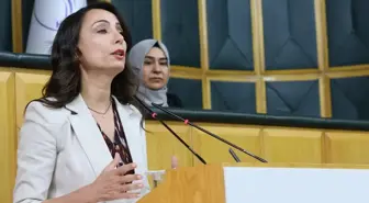 Kayyum atamaları sonrası DEM Parti'den zehir zemberek açıklama