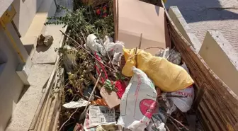 Ordu'da Ekipler Kötü Kokular Üzerine Evden 2 Kamyon Çöp Çıkardı