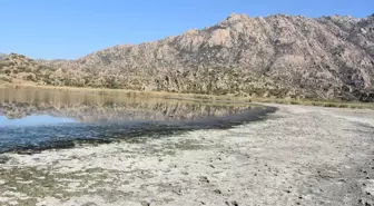 Bafa Gölü'nde kirlilik ve suda çekilme; TBMM heyetinden inceleme