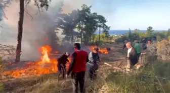 Antalya'da Hava Aracı Ormanlık Alana Düştü