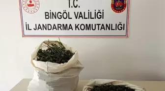 Bingöl'de Jandarma, 7 Kilo 150 Gram Esrar Ele Geçirdi