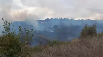 Çanakkale Biga'daki Orman Yangını Kontrol Altına Alındı