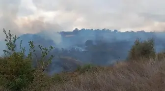 Çanakkale Biga'da Orman Yangınına Müdahale Başladı