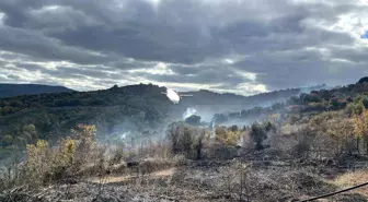 Çanakkale Biga'da Yangın Kontrol Altına Alındı