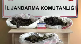 Samsun'da Uyuşturucu Operasyonu: 627 Gram Kubar Esrar Ele Geçirildi