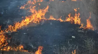 Lüleburgaz'da Yangın: 7 Dekar Buğday Alanı Zarar Gördü