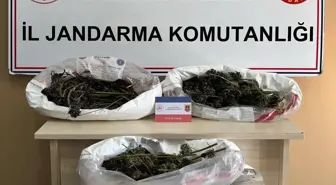 Samsun'da Uyuşturucu Operasyonu: 627 Gram Esrar Ele Geçirildi