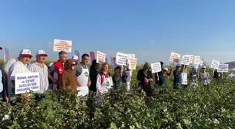 Şanlıurfa GAP ile suya kavuşuyor tarım alanları genişliyor