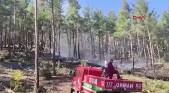 Bucak'ta Orman Yangını Kontrol Altına Alındı