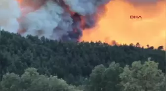 Bursa'da Orman Yangınına Büyük Müdahale