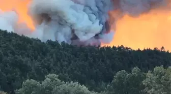 Bursa'daki Orman Yangınına Müdahele Devam Ediyor