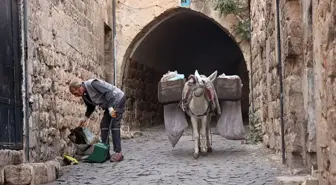 Mardin'de 'çalışan eşekler' emekliye ayrılıyor