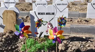 Parçalanmış bebek cesedini mezardan tilki çıkarmış