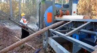 Kütahya'da Kadın Operatör Kabuk Soyma Makinesi Kullanıyor