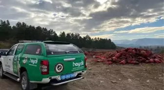 Amasya'da Çevre Kirliliğine Sebep Olan Şahıslara İşlem Başlatıldı