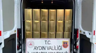 Aydın'da 3.6 Ton Sahte Zeytinyağı Ele Geçirildi