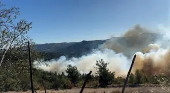 Bursa ve Balıkesir Arası Orman Yangını Kontrol Altına Alındı