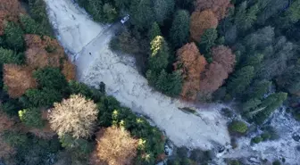 Giresun'un Dereli İlçesinde Güz Renkleri Büyülüyor