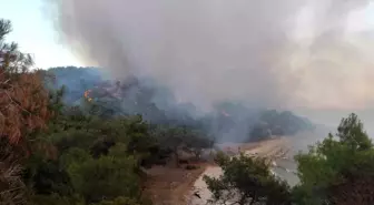 Edirne'de Orman Yangını Kontrol Altına Alındı