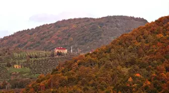 Nebiyan Dağı'nda Sonbahar Güzellikleri