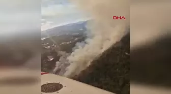 Antalya'nın Kumluca İlçesinde Orman Yangını Çıktı