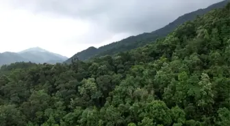 Çin'de Ulusal Parkların Yüksek Kalitede İnşası İçin Uluslararası Sempozyum Düzenlendi