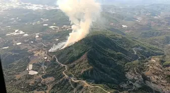 Antalya'nın Kumluca İlçesinde Orman Yangını