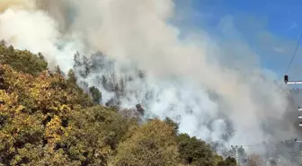 Antalya Kumluca'da Orman Yangını Çıktı