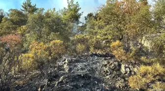 Antalya'da Orman Yangını Kısmen Kontrol Altına Alındı