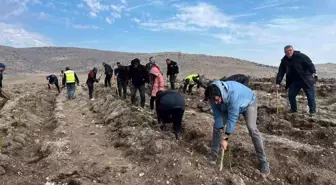 Ata'yı fidan dikerek andılar