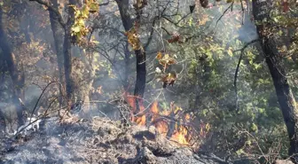 Kırklareli'nde Orman Yangını Kontrol Altına Alındı