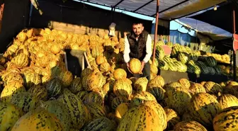 Arguvan'ın Narmikan Kavunu Tezgahlarda