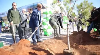 Milli Ağaçlandırma Günü'nde Fidanlar Toprakla Buluşturuldu