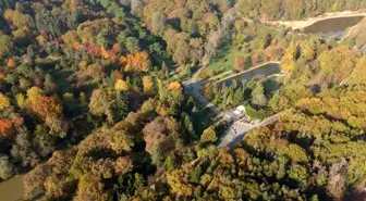 Atatürk Arboretumu'nda Sonbahar Renk Cümbüşü