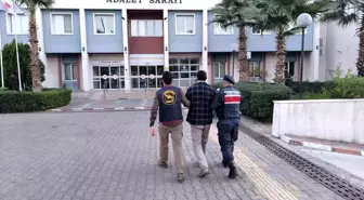 Aydın'da Jandarma ÇEMBER Operasyonlarında 154 Şahıs Yakalandı