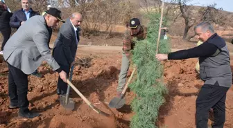 Uşak'ta 11 Kasım Milli Ağaçlandırma Günü Etkinliği Düzenlendi