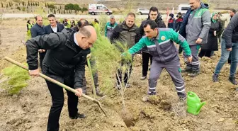 Çanakkale'nin ilçelerinde fidanlar toprakla buluşturuldu