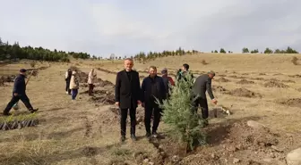 Çankırı'da 11 Kasım Milli Ağaçlandırma Günü Etkinlikleri Düzenlendi