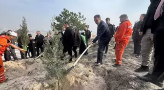 Çorum, Sinop ve Çankırı'da Milli Ağaçlandırma Günü'nde fidanlar toprakla buluşturuldu