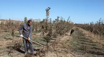 Çiftçi Sunullah Yıldırım'dan Ağaçlandırma ve Ekonomi İçin Önemli Adım