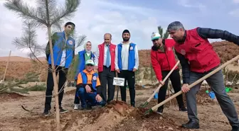 Diyarbakır, Bingöl, Şırnak ve Siirt'te Fidan Dikimi Etkinlikleri